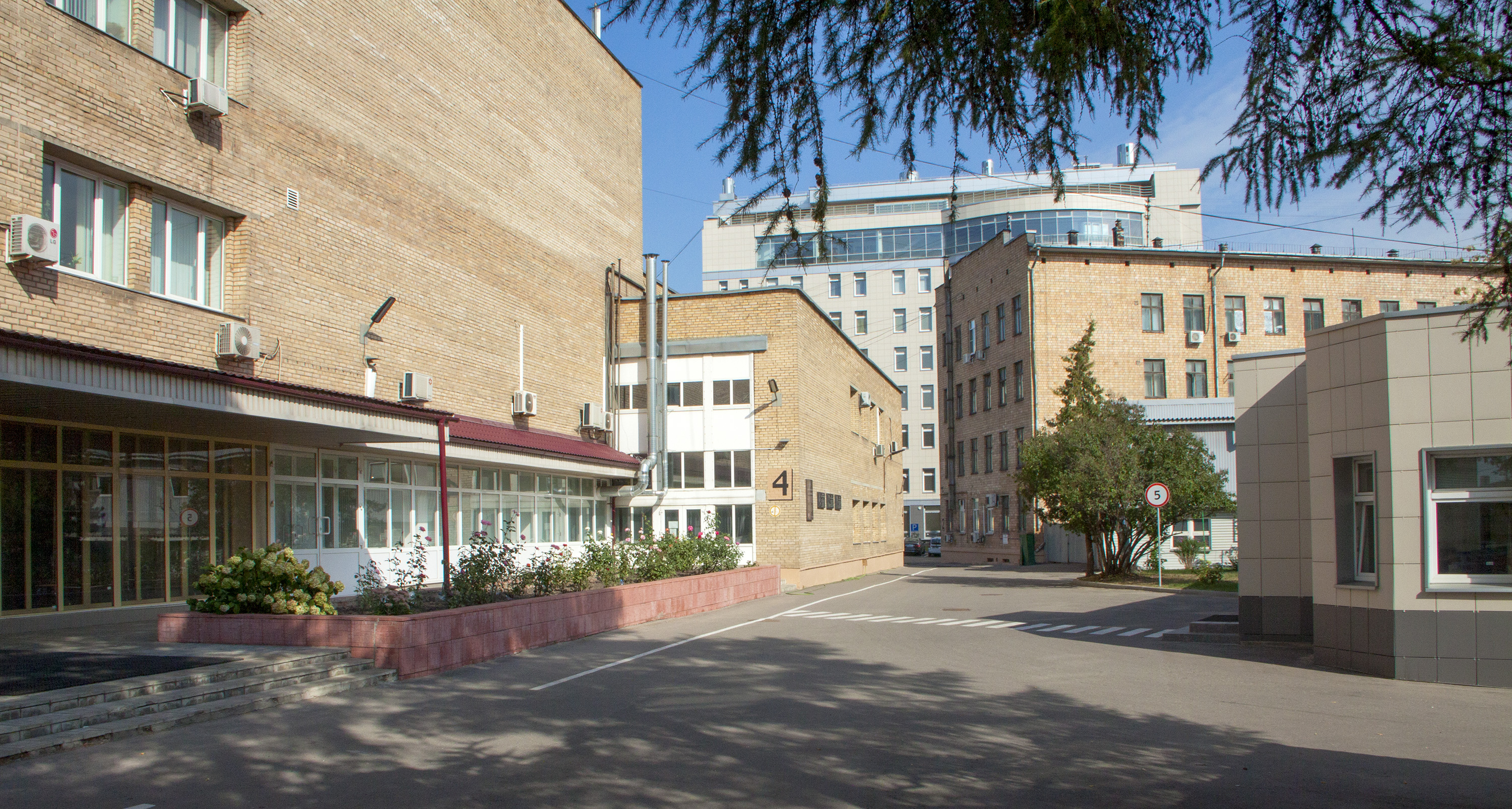 IBMP RAS